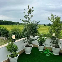 رومی استخردار ۲۶۰مترزمین/رووف گاردن با بنا ۱۶۰متری|فروش خانه و ویلا|رویان, |دیوار