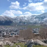 پیدا شدن چند کارت بە اسم ایوب حیدری