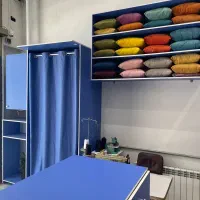 خشکشویی الهیه VIP / (سرویس رایگان ) الهیه 22|خدمات نظافت|مشهد, الهیه|دیوار