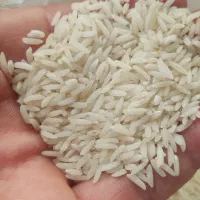 فروش برنج طارم هاشمی