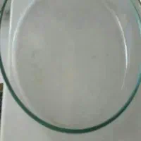 فرش و وسایل مورد استفاده در باغ وخونه