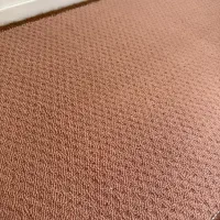 موکت پالاز|موکت|پاوه, |دیوار