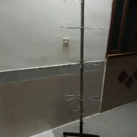 استند مغز تخمه
