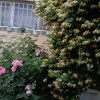 تک-ایستا-جنوب-بر-بلوار-درب-اصلی