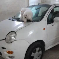 ام وی ام ۱۱۰ بیرنگ