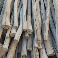 تعداد زیادی چوب