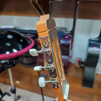 گیتار کلاسیک پارسی P40،نو،فول‌سایز 4/4|گیتار، بیس، امپلیفایر|چالوس, |دیوار