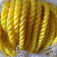 طناب،شماره ۱۶