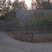 هزار متر باغچه بابا سلمان ، خزایی