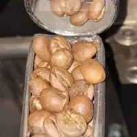 دان+قهوه+رست شده روبستا+برزیل+عربیکا ریو|خوردنی و آشامیدنی|تهران, تهرانسر شمالی|دیوار