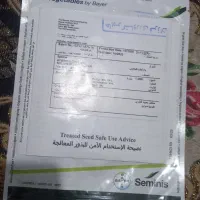 بذر