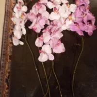 ۵ شاخه گل ارکیده خارجی|گل مصنوعی|تهران, پاسداران|دیوار