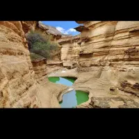 گشت جزیره قشم با راننده بومی|تور و چارتر|قشم, |دیوار