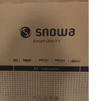 کارتون تلویزیون 55 اسنوا