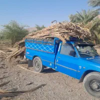 پیش خرما فسیل