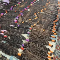 مرکز مو روبه روی رستوران تک سالن پرنسا|آرایشی، بهداشتی، درمانی|قروه, |دیوار