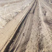 تراکتور کرایه باغی