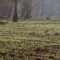 فروش-خانه-نیمه-کاره