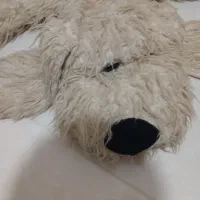 عروسک سگ|اسباب‌‌بازی|ساری, |دیوار