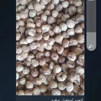 خوردنی و آشامیدنی|خوردنی و آشامیدنی|اسفرورین, |دیوار