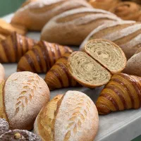 اموزش پیتزا ناپولی تخصصی|خدمات آموزشی|شیراز, شهرک سراج‎|دیوار