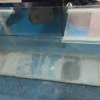 آکواریوم بزرگ