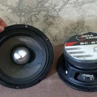 میدرنج سانتاکروز اورجینال|قطعات یدکی و لوازم جانبی|سلماس, |دیوار