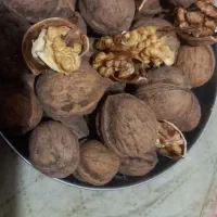 فروش گردو کاغذی روغنی سفید|خوردنی و آشامیدنی|دشتابی, |دیوار