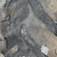 لاستیک دست دوم