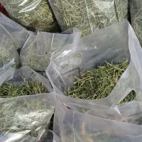 یونجه یک کیلویی تمیز
