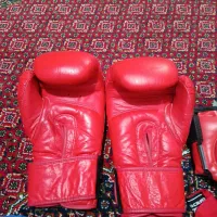 دسکش بوکس|تجهیزات ورزشی|کوهدشت, |دیوار