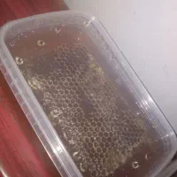 عسل طبیعی و ارگانیک|خوردنی و آشامیدنی|اسدآباد, |دیوار