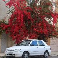 132سفید مدل 95 دوگانه