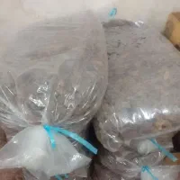 خرمای درجه یک|خوردنی و آشامیدنی|بستک, |دیوار