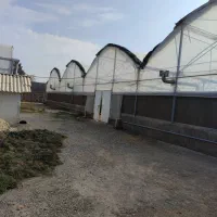 البرز هشتگرد شهرجدید کردان گلخانه فروشی