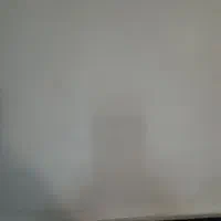 علوفه بادام زمینی