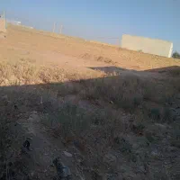 زمین مسکونی سند تک برگ دار سبز ،انشعابات اماده|فروش زمین و ملک کلنگی|بشاریات, |دیوار