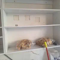 دکوراسیون مغازه دست دوم تمیز|فروشگاه و مغازه|اصفهان, شهرک میلاد|دیوار