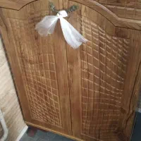 جاکفشی در حدنو