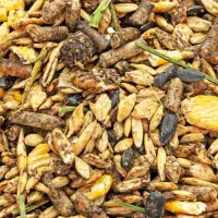 نهاده دام طیور