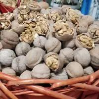 فروش گردو تویسرکان