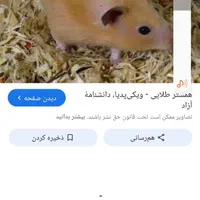 همستر