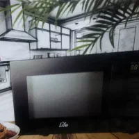 مایکروو لایف. پلمپ کارخانه