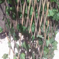 کلخانه حیاط خلوت هال