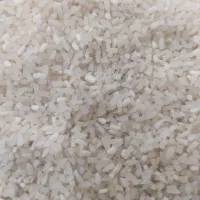 نیم دانه فجر سوزنی امساله