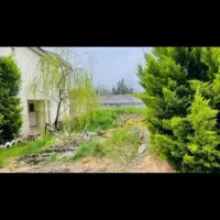 320متر-زمین-خوش-قواره-اقساط-12ماه-متری6