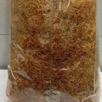 ریشه زعفران|خوردنی و آشامیدنی|تهران, علم و صنعت|دیوار