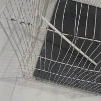 قفس|لوازم جانبی حیوانات|مشهد, ایثار|دیوار