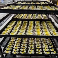 نیرو جوان با جای خواب و غذا