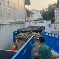 خرید چوب تاغ عمده